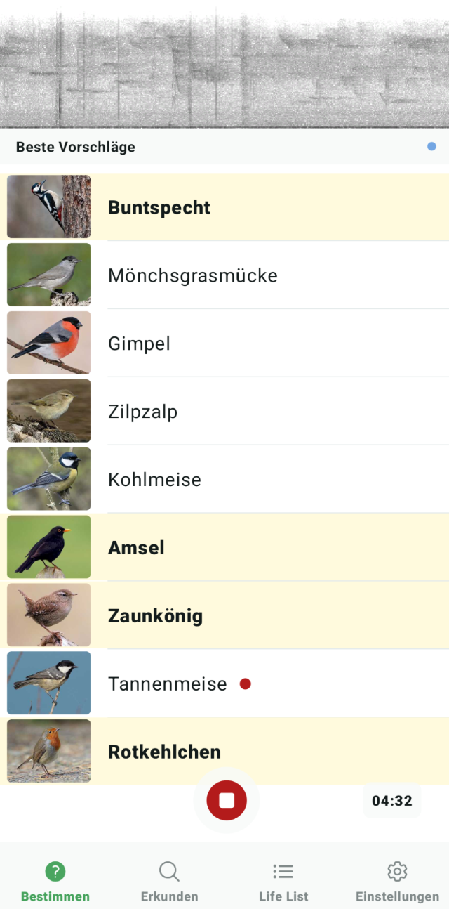 Bildschirmfoto der Vogelstimmen- App Merlin BirdID
Neun Vögel wurden erkannt: Buntspecht, Möcńchsgrasmücke, Gimpel, Zilpzalp, Kohlmeise, Amsel, Zaunkönig, Tannenmeise, Rotkehlchen

Belauscht im Wald der Bittermark im Süden Dortmunds am Vormittag des 24. Mai über nicht ganz fünf Minuten.